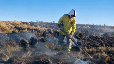 Incendio forestal en Córdoba