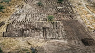 Muestras de ADN para identificar víctimas de la dictadura en Loma del Torito, Córdoba