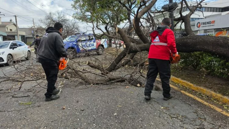 Imagen de una tormenta en Córdoba, con árboles caídos y escombros en la calle