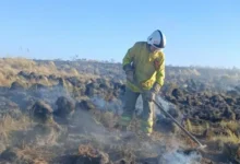 Imagen de un incendio forestal en Córdoba con bomberos trabajando para controlarlo