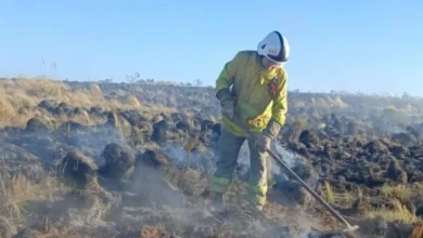Imagen de un incendio forestal en Córdoba con bomberos trabajando para controlarlo