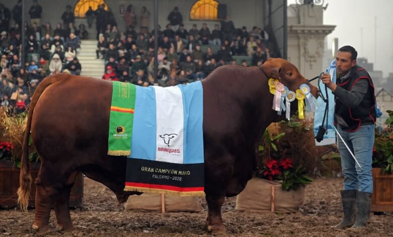 Imagen de una cabaña ganadera cordobesa participando en la Exposición Rural de Palermo