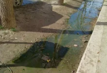Imagen de cloacas en el ingreso de una escuela