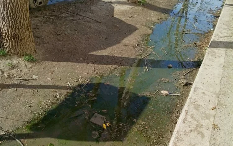 Imagen de cloacas en el ingreso de una escuela