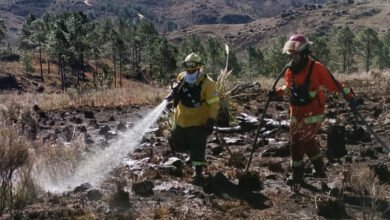 Incendio forestal en Yacanto con bomberos combatando las llamas