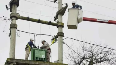 Imagen de la jornada «Una Red Más Sustentable» en Anisacate, con la colocación del primer biotransformador y la instalación de biocrucetas sostenibles