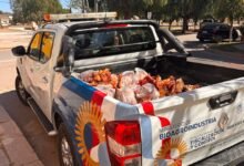 Autoridades cordobesas decomisando carne sin documentación en San Justo, Córdoba