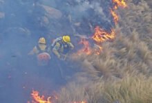 Imagen de un incendio forestal en Punilla