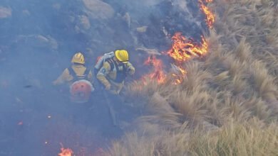 Imagen de un incendio forestal en Punilla