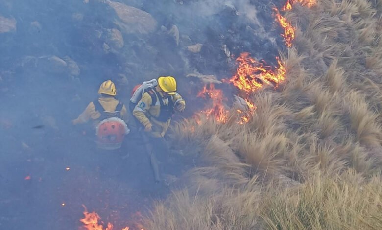 Imagen de un incendio forestal en Punilla