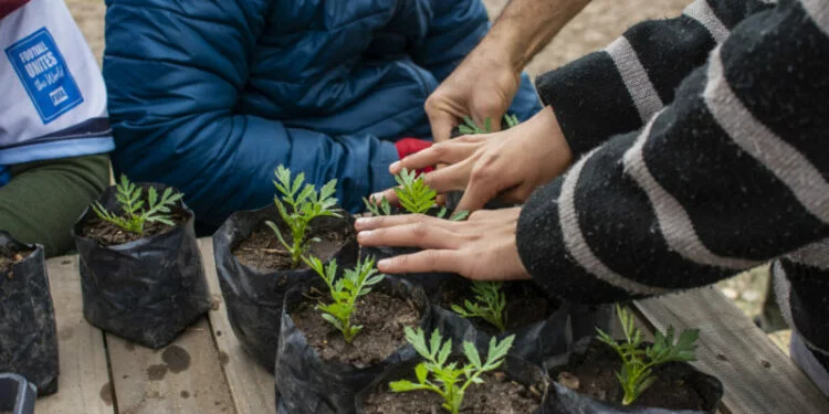 Voluntarios entregando plantines florales en la Huerta Modelo de Bella Vista, Córdoba