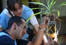 Equipo de salud inspeccionando hogares en barrios de Córdoba durante el monitoreo de Aedes aegypti