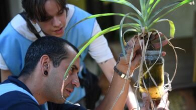 Equipo de salud inspeccionando hogares en barrios de Córdoba durante el monitoreo de Aedes aegypti