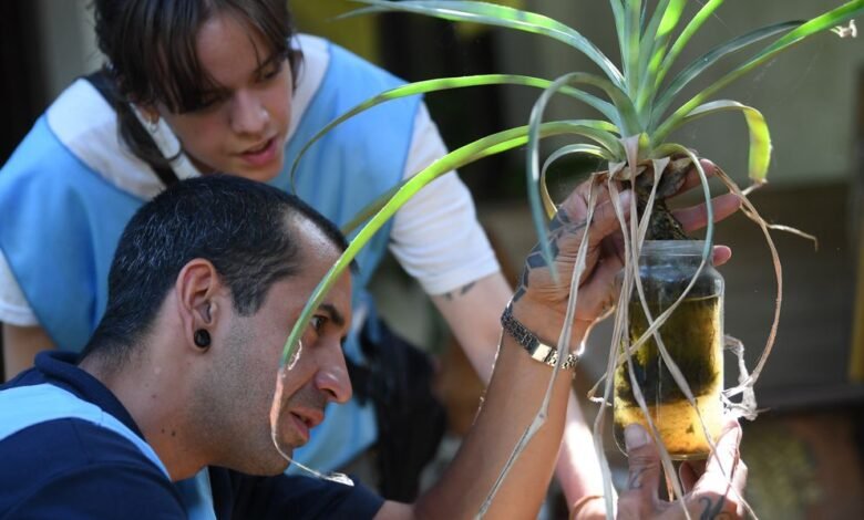 Equipo de salud inspeccionando hogares en barrios de Córdoba durante el monitoreo de Aedes aegypti