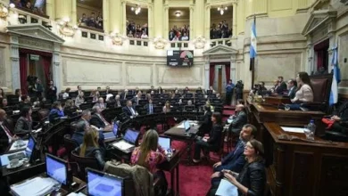 Sesión del Senado argentino discutiendo la Inocencia Fiscal II y biocombustibles