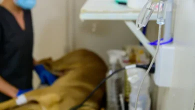Unidad móvil de Biocórdoba en el Centro de Participación Comunal Empalme, Córdoba