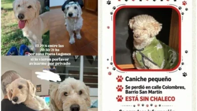 Rescatista Candela Urban Ricciardi con sus ocho perros en su casa en el barrio Poeta Lugones, Córdoba