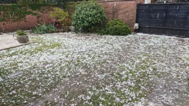 Granizada que golpeó el norte de Córdoba, con granizo del tamaño de huevos sobre la calle