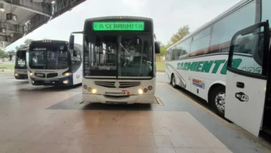 Logo de Aoita y autobuses interurbanos en Córdoba bajo estado de alerta