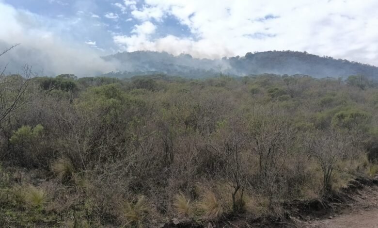 Bomberos y helicóptero combatiendo el incendio forestal en La Calera, sector Rumi