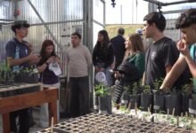 Docentes participando en la formación sobre suelos en Córdoba