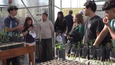 Docentes participando en la formación sobre suelos en Córdoba