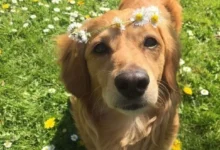 Cielo despejado sobre la ciudad de Córdoba en una mañana de primavera