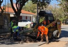 Obreros reparando la calzada en el barrio Santa Marta, Córdoba