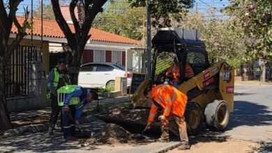 Obreros reparando la calzada en el barrio Santa Marta, Córdoba