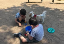 Niños hermanos Tobías y Luis esperando adopción en Córdoba