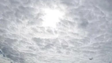 Pronóstico del tiempo en Córdoba 14 de septiembre con cielo parcialmente nublado y viento del norte