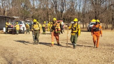Bosque seco en la provincia de Córdoba bajo el cielo amenazado por fuertes vientos del sur