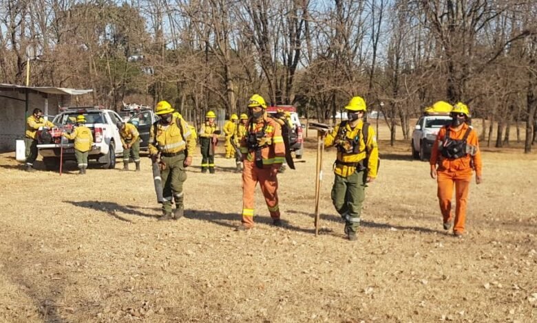 Bosque seco en la provincia de Córdoba bajo el cielo amenazado por fuertes vientos del sur