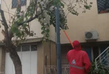 Árboles y postes dañados tras la lluvia intensa en el barrio Sargento Cabral, Córdoba