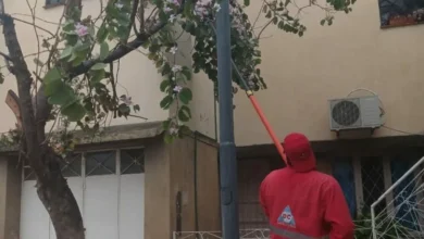 Árboles y postes dañados tras la lluvia intensa en el barrio Sargento Cabral, Córdoba