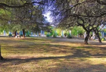 Observadores de aves con binoculares en el Parque de la Vida, Córdoba