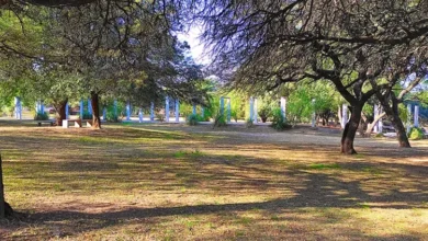 Observadores de aves con binoculares en el Parque de la Vida, Córdoba