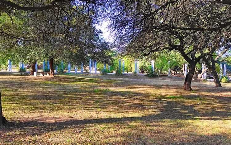 Observadores de aves con binoculares en el Parque de la Vida, Córdoba
