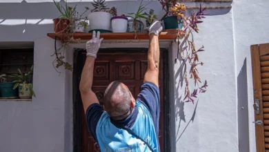 Certificados y declaración jurada exigidos a los becarios del programa Promotores Sociales en Córdoba