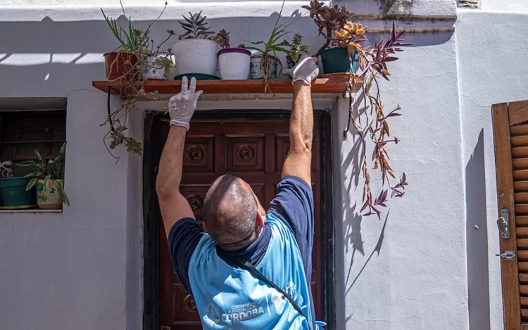 Certificados y declaración jurada exigidos a los becarios del programa Promotores Sociales en Córdoba