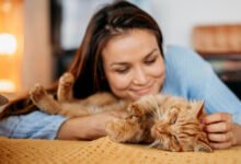 Dueño acariciando a su gato mientras ambos parecen relajados en un sofá de una casa cordobesa
