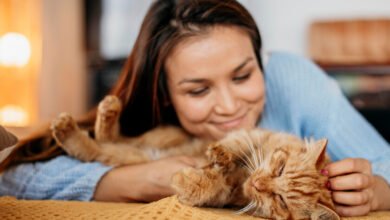 Dueño acariciando a su gato mientras ambos parecen relajados en un sofá de una casa cordobesa