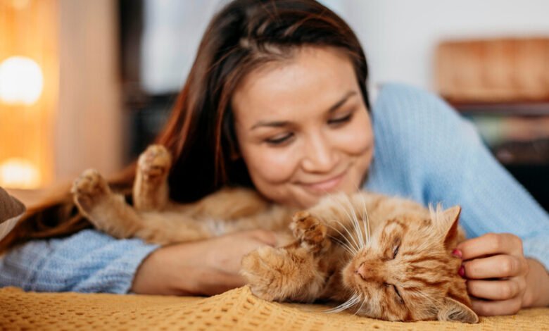 Dueño acariciando a su gato mientras ambos parecen relajados en un sofá de una casa cordobesa