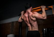 Células musculares de ratón tratadas con tadalafilo