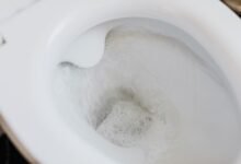 Inodoro con vinagre blanco aplicado alrededor para eliminar olores