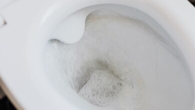Inodoro con vinagre blanco aplicado alrededor para eliminar olores