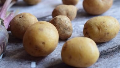 Patatas frescas sin brotes
