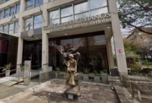 Pantalla del Portal Académico Notarial del Colegio de Escribanos de Córdoba