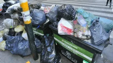 Camión de recolección de residuos detenido en una calle del centro de Córdoba