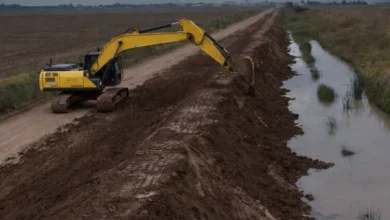 Obra de mantenimiento de caminos rurales con camiones y maquinaria en la provincia de Córdoba